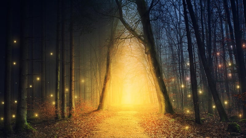 Glowing Path Lights