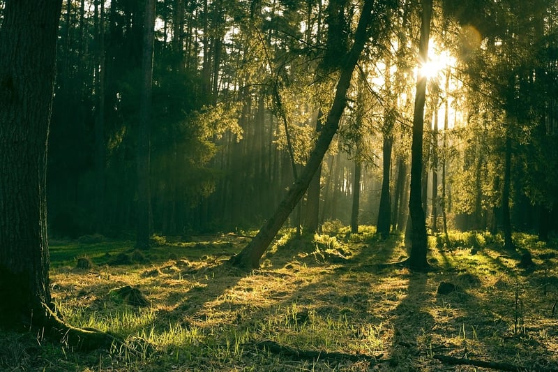 Mystical Landscapes