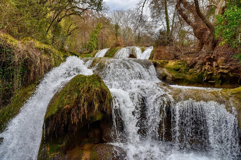 Waterfall in Forest
